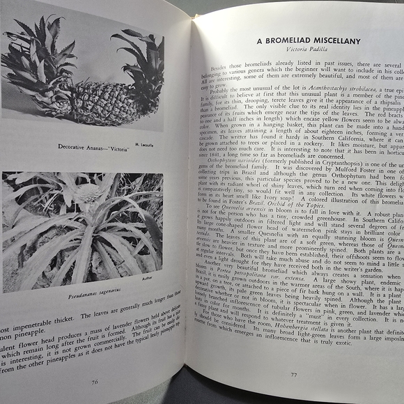"Bromeliads in Color and Their Culture" Victoria Padilla 1966 - Picture 13 of 14